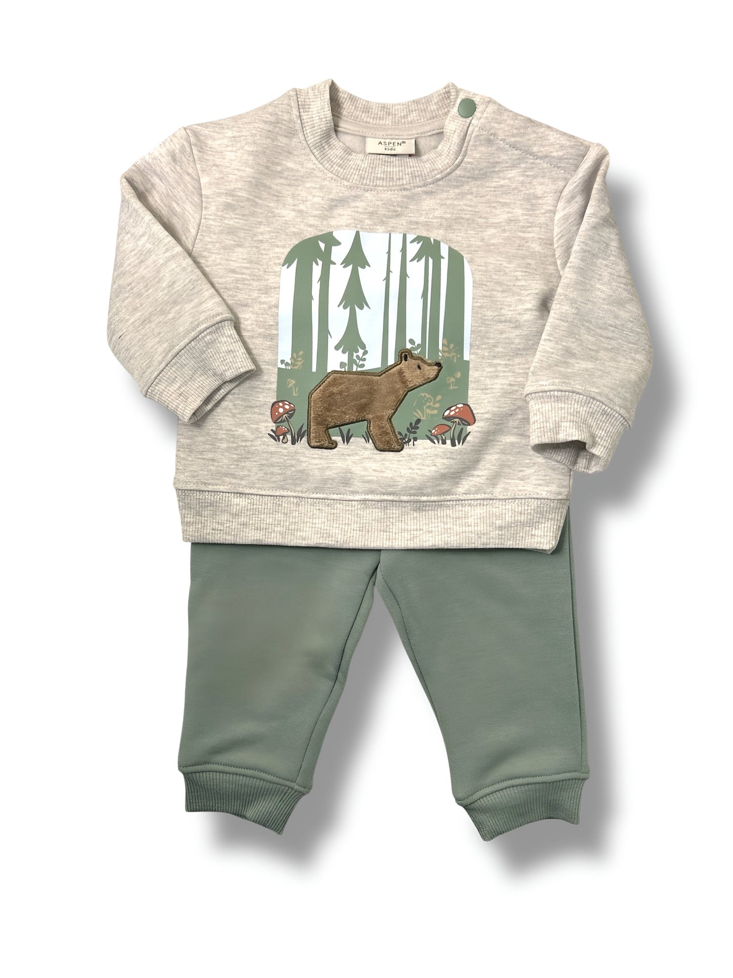bear sweatshirt set