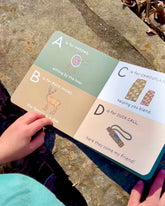 Children's alphabet book open on a stone surface