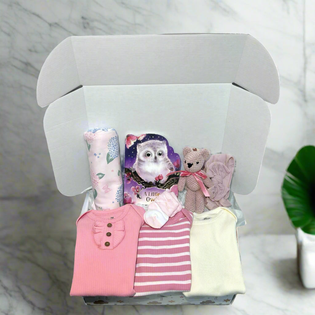 Owl Baby Girl Gift Box | Newborn Shower Set with Onesies, Swaddle, Plush Toy & Book (0–3 Months)