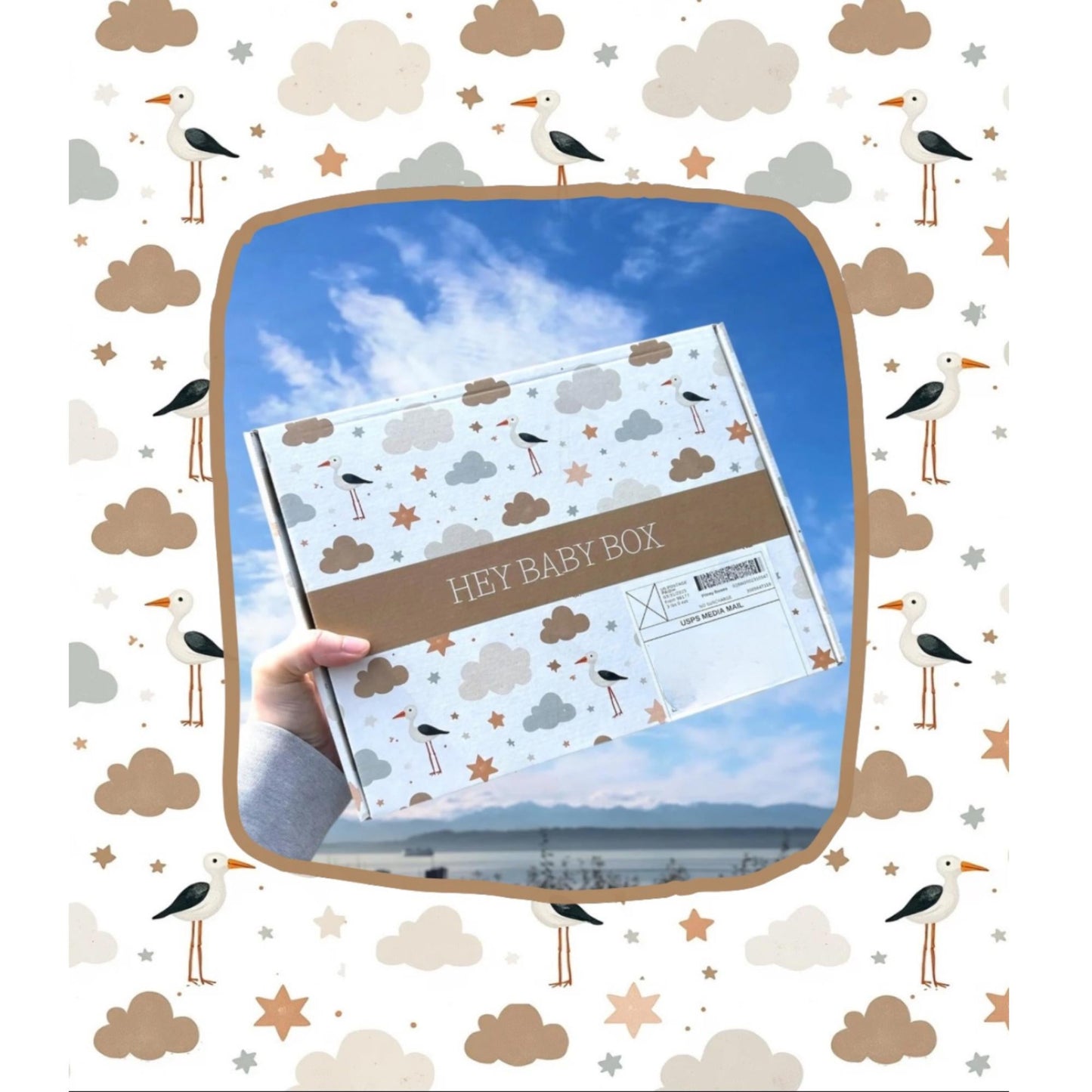 Baby box with 'HEY BABY BOX' branding held against a blue sky background with clouds and birds.