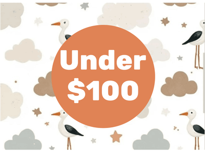 Gifts Under $100