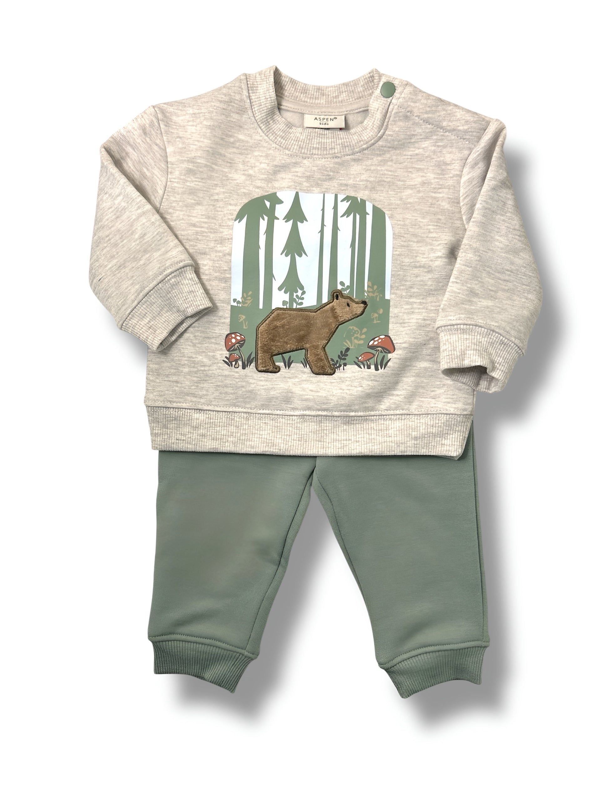 bear sweatshirt set