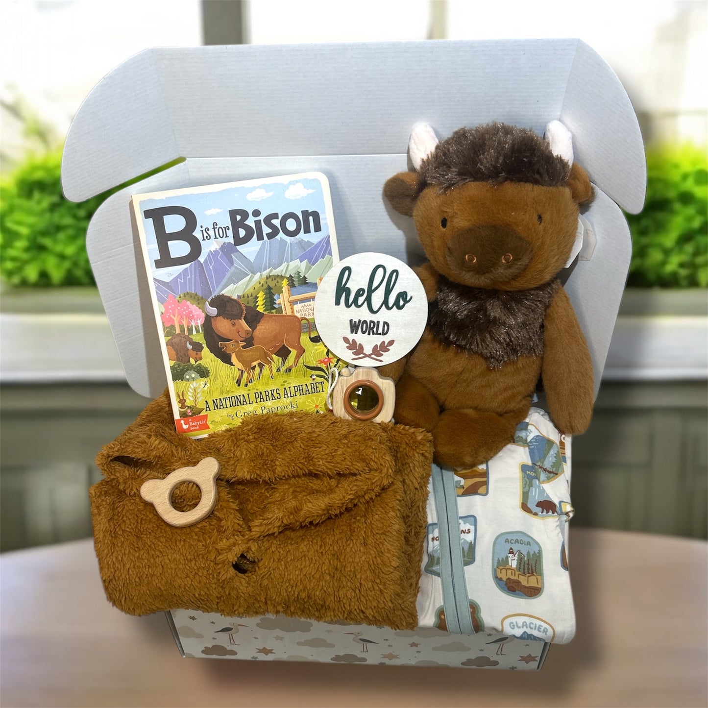 National Park Baby Gift Box featuring plush bison, bamboo clothing, and a delightful baby book.