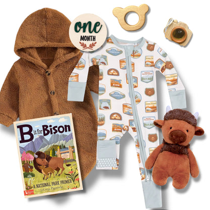 National Park Baby Gift Box featuring fleece jacket, themed onesie, book, plush bison, and milestone marker for babies.