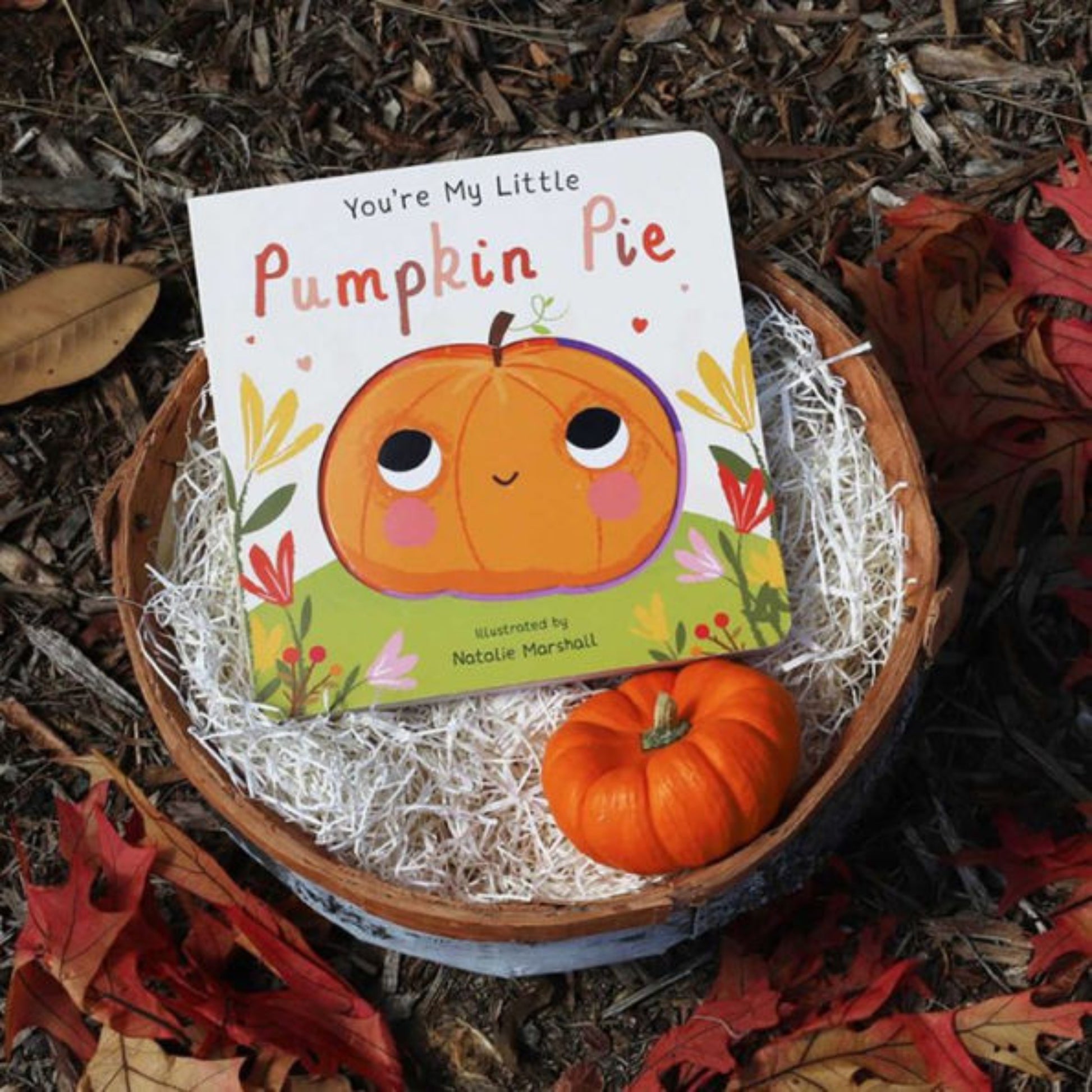 pumpkin pie book