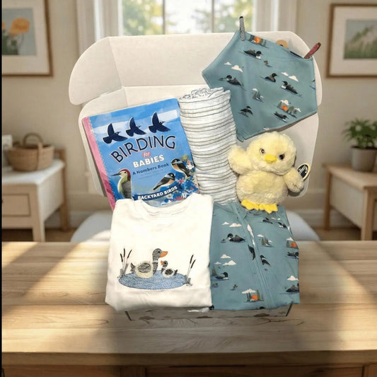 Baby items including a book, blanket, and plush toy on a table in a room with furniture and decor.