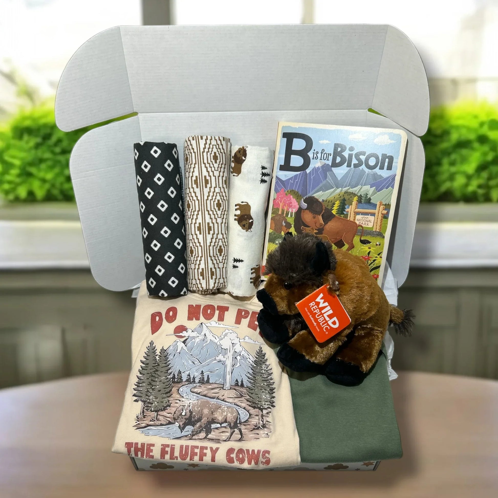 National Park Baby Gift - Bison Lover - Hey Baby Box