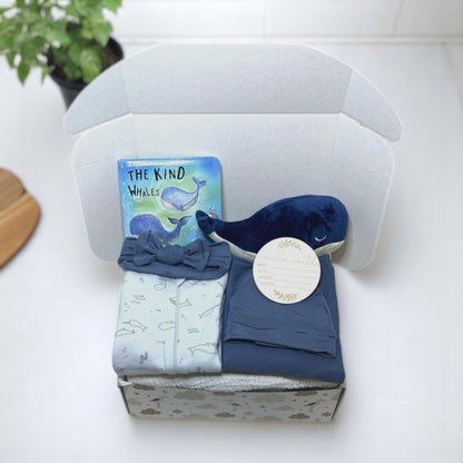 the kind whales box
