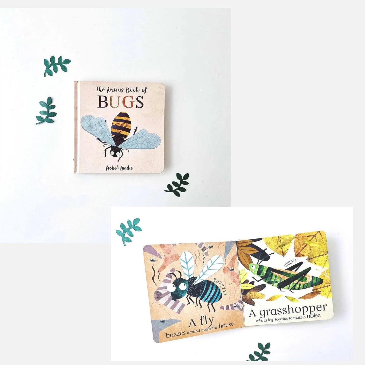 insect - Bug-Themed Baby Boy Gift Box - Clothing, Book & Blanket for Boys - Perfect Baby Shower Present! Personalization Available - Hey Baby Box