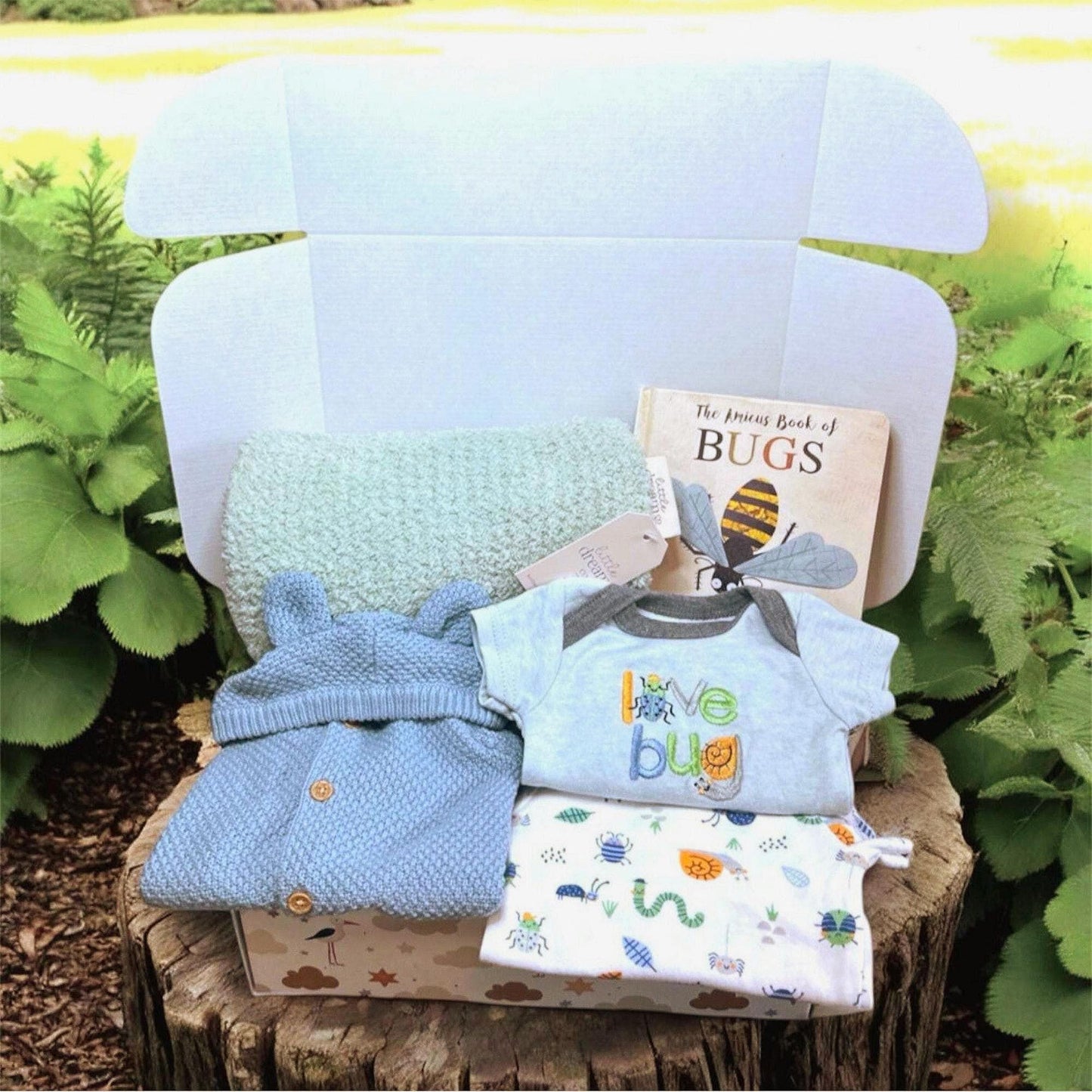  Bug-Themed Baby Boy Gift Box - Clothing, Book & Blanket for Boys - Perfect Baby Shower Present! Personalization Available - Hey Baby Box