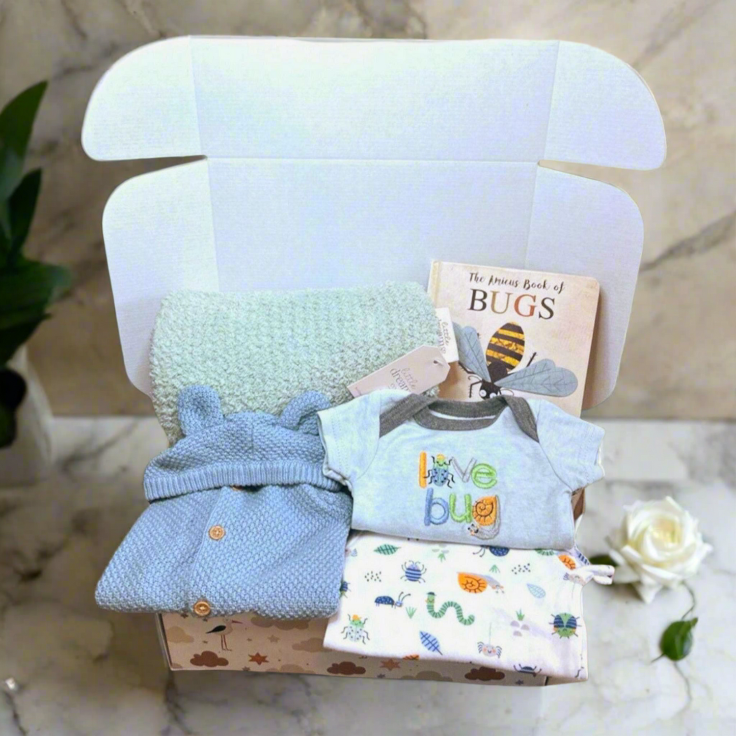 Love Bug theme baby gift