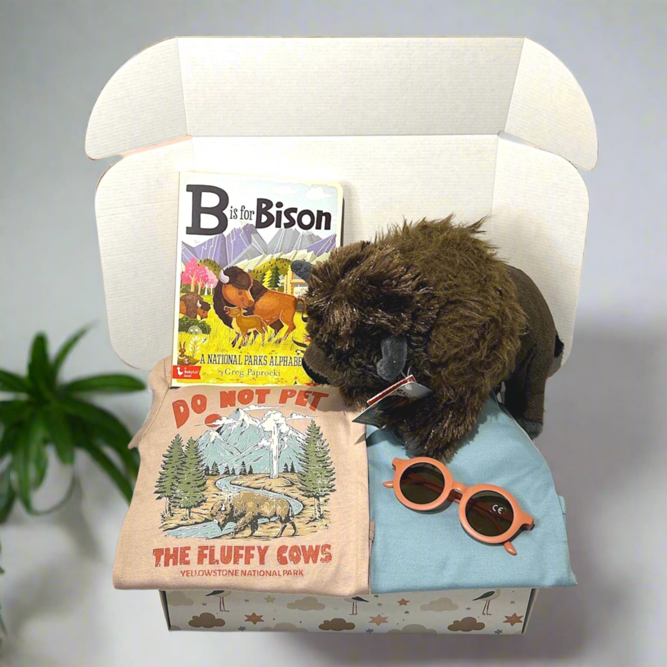 Bison National Park Theme Gift