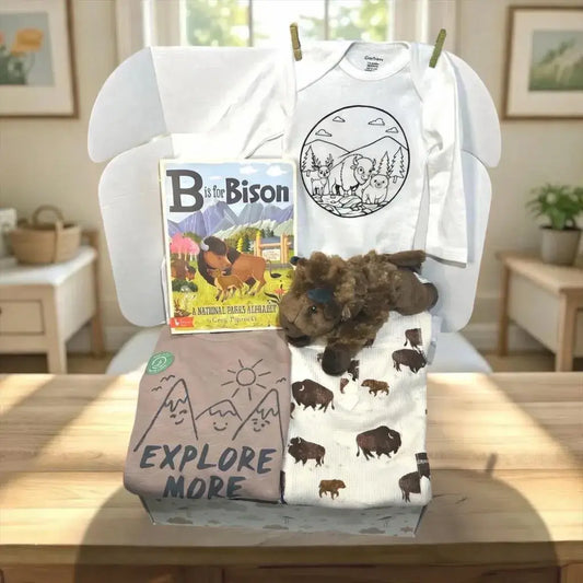 Baby items including a onesie, blanket, book, and stuffed animal on a table with a home setting in the background.