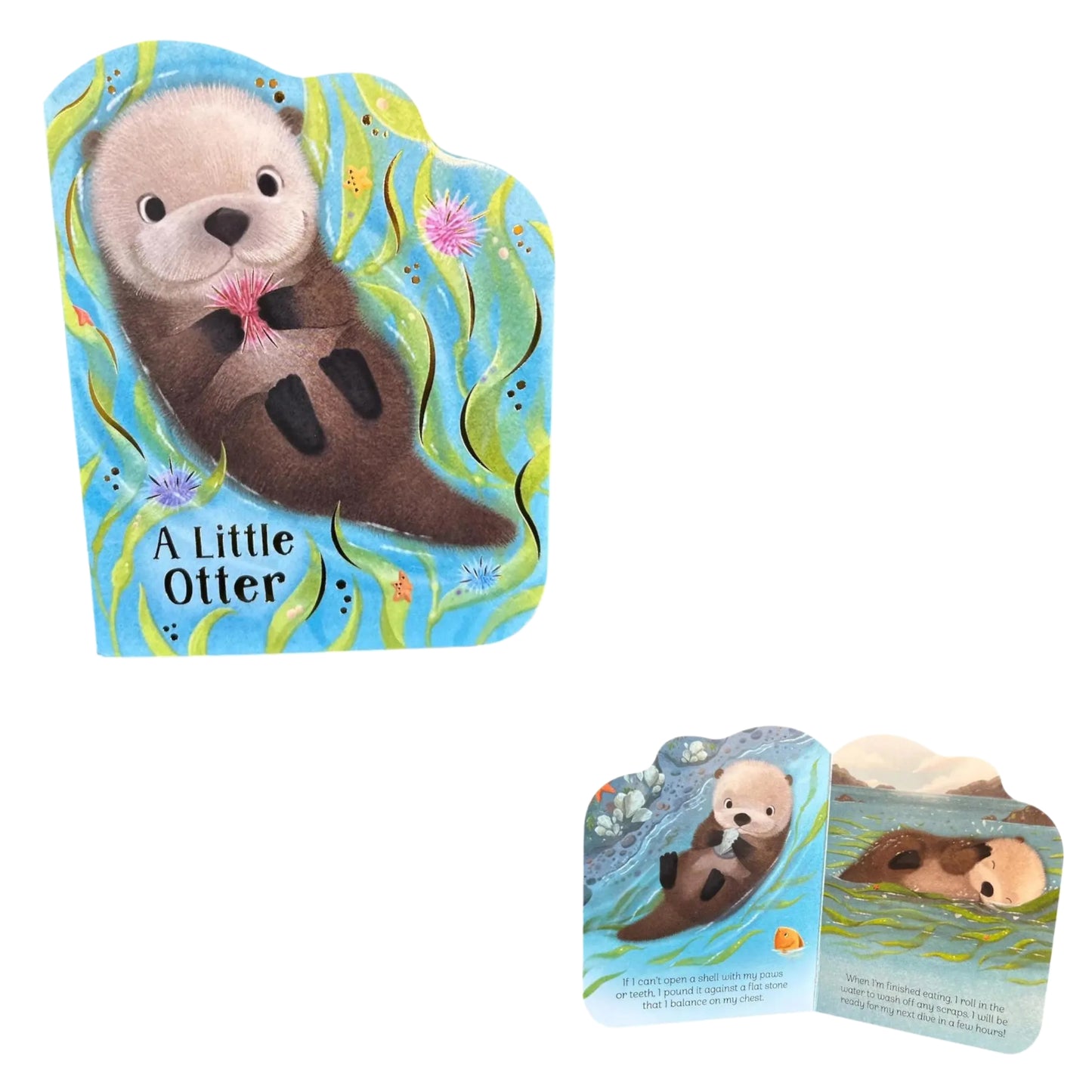 Sea Otter Animal Baby Gift Box 