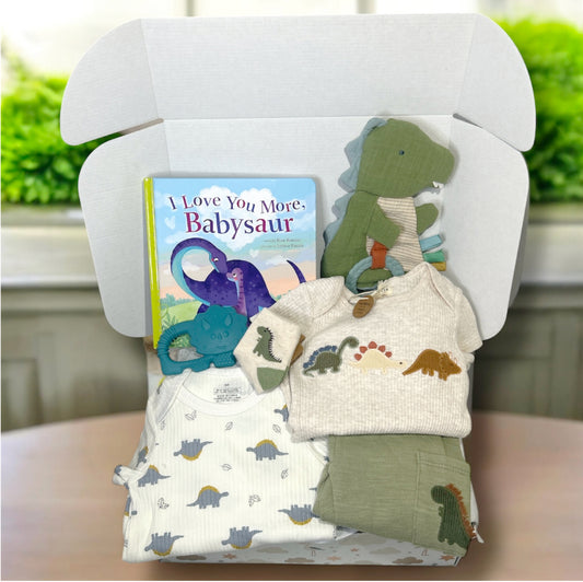 Dinosaur Baby Gift - New Baby Boy 0-3 Month