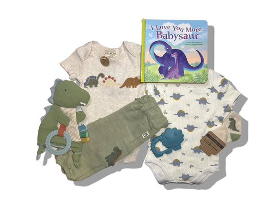 Dinosaur Baby Gift - New Baby Boy 0-3 Month