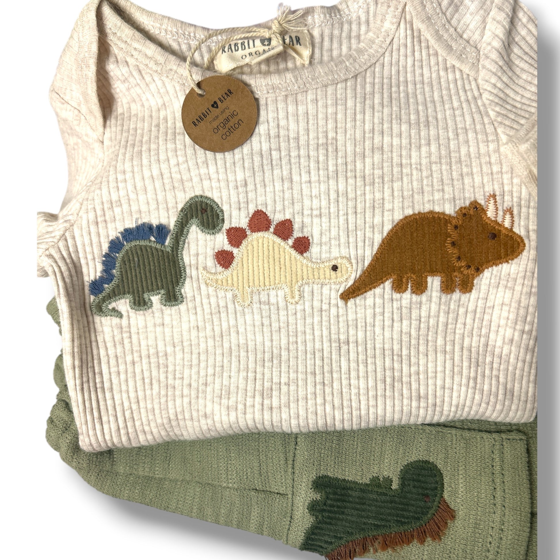 Dinosaur Baby Gift - New Baby Boy 0-3 Month