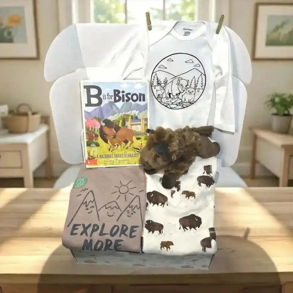 Baby items including a onesie, blanket, book, and stuffed animal on a table with a home setting in the background.