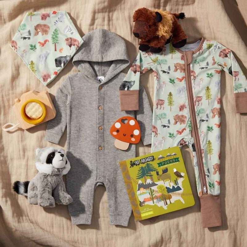 Woodland animals flat lay