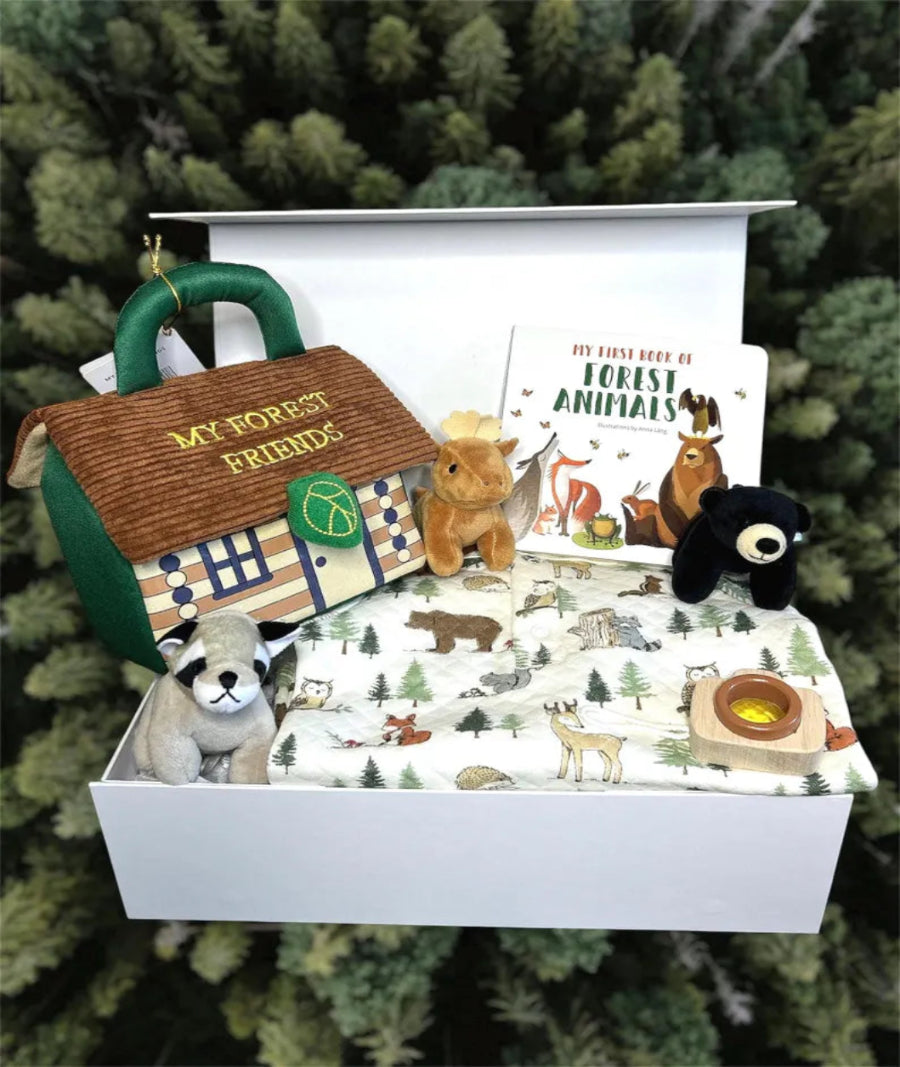 Sold woodland friends box