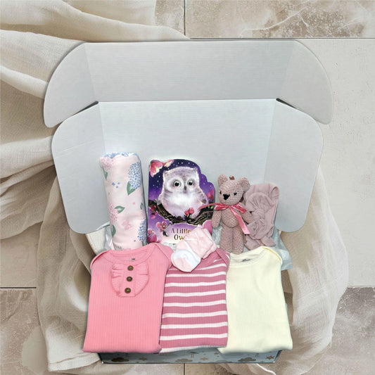 Owl Baby Girl Gift Box | Newborn Shower Set with Onesies, Swaddle, Plush Toy & Book (0–3 Months)
