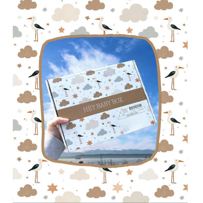 Baby box with 'HEY BABY BOX' branding held against a blue sky background with clouds and birds.