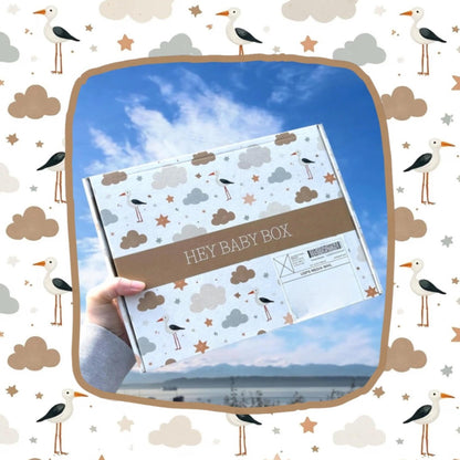 Taylor Inspired Baby Gift – 1989 TTPD - Life of a Baby Collection - Hey Baby Box