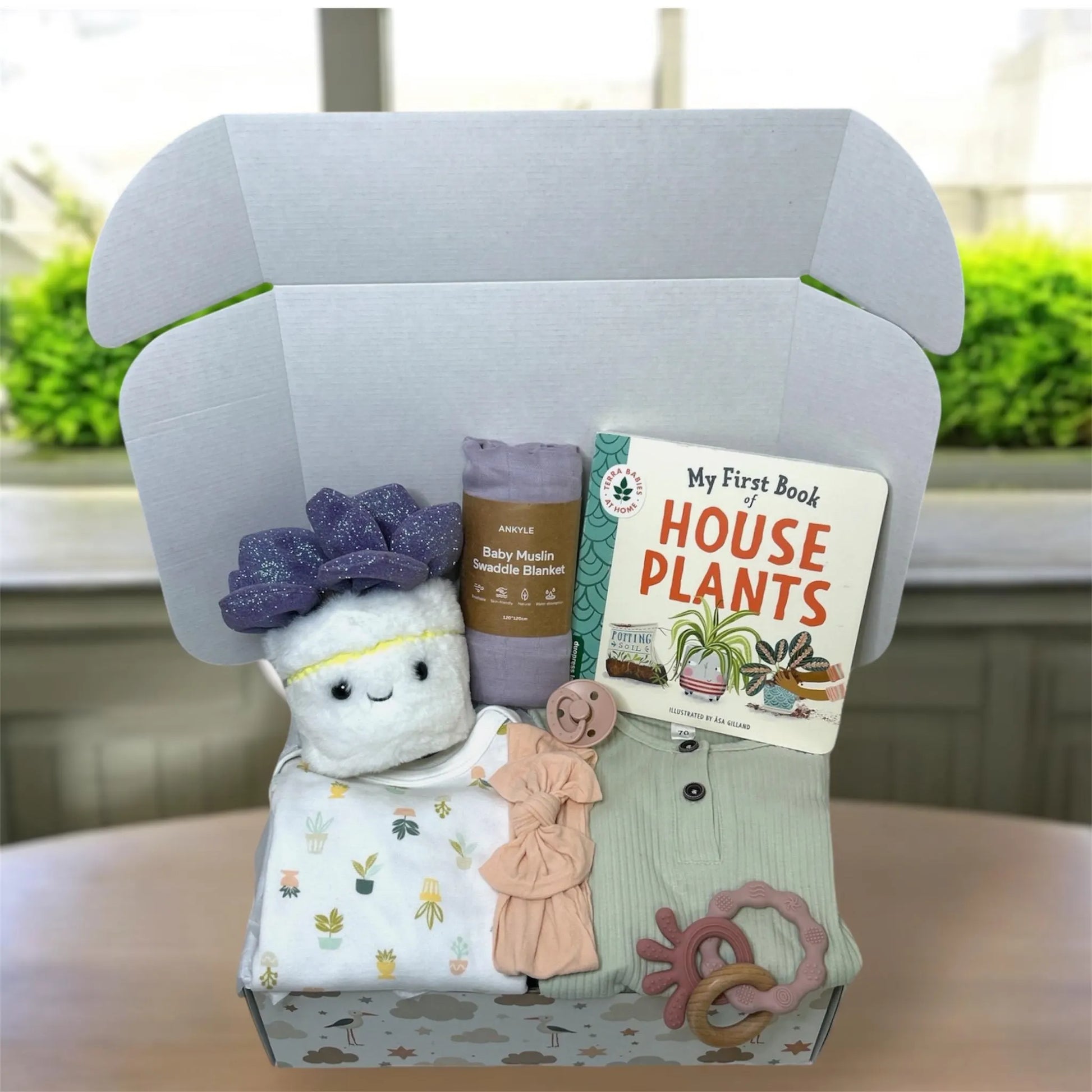 Baby Girl Plant Gift Box