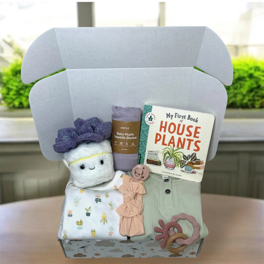 Baby Girl Plant Gift Box
