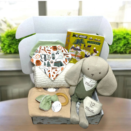 Nature Baby Gift Box – National Parks