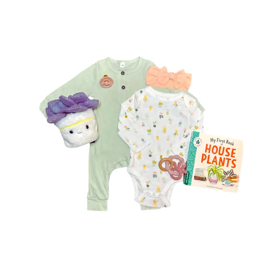 Baby Girl Plant Gift Box