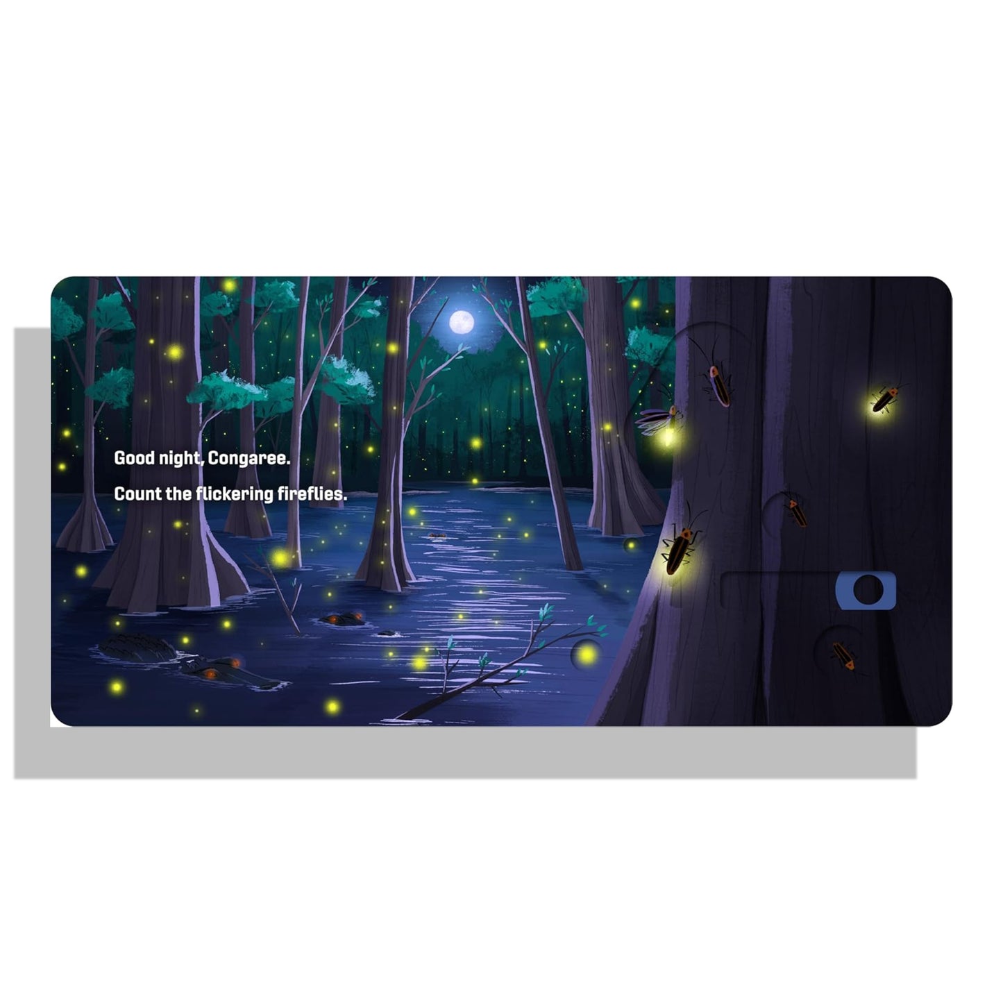 Bear National Parks Baby Gift Set - Hey Baby Box