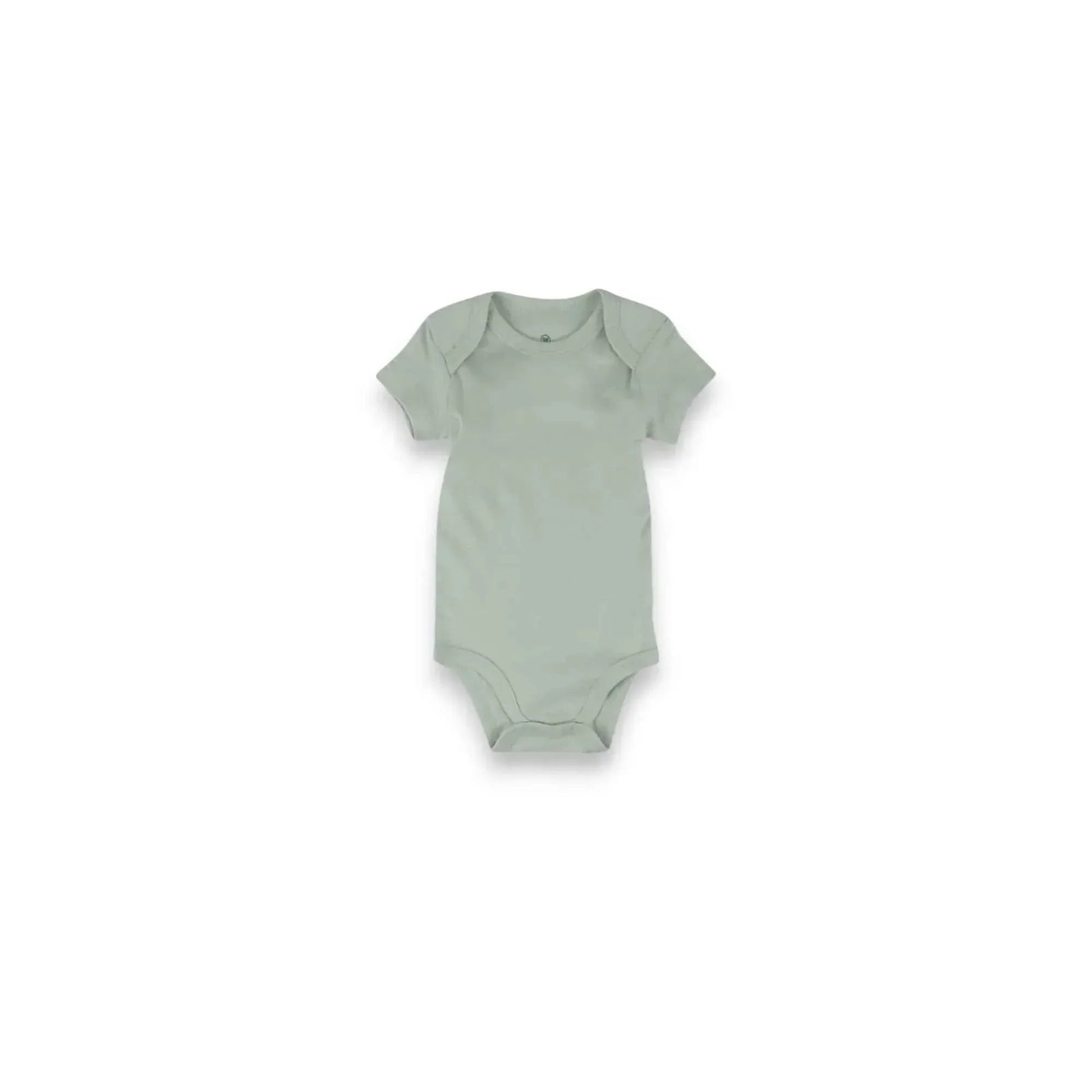 National Park Baby Gift - Bison Lover