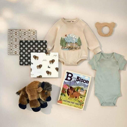 Hey Baby Box National Park baby gift set with bison romper, green onesie, plush bison, wooden teether, swaddles, and book.