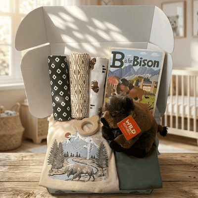 Baby gift set with books, plush toys, and blankets on a wooden surface in a nursery.
