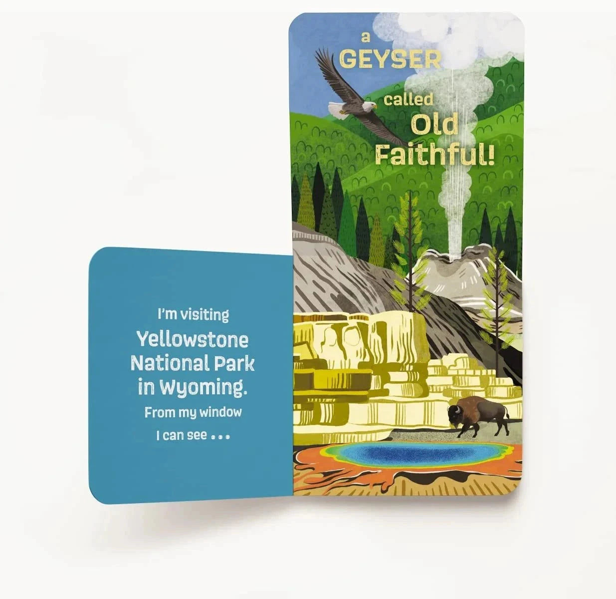 Booklet with Yellowstone National Park illustration and text on a white background
