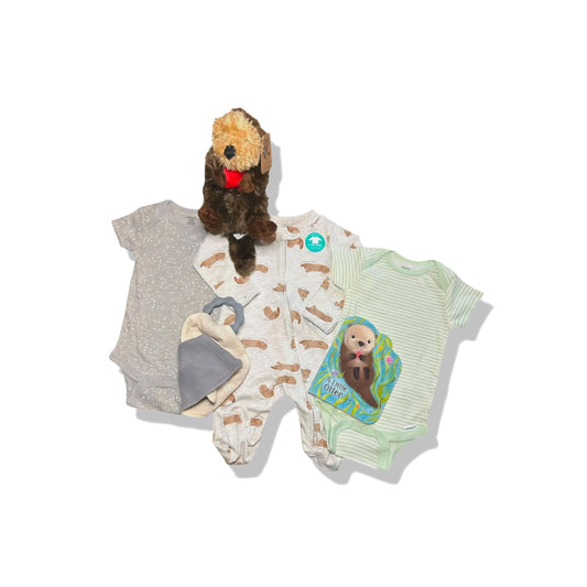 Sea Otter Animal Baby Gift Box 