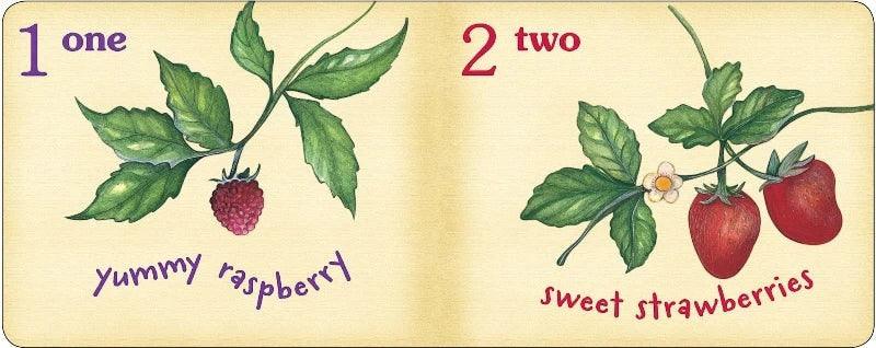Hey Baby Box book page with illustrations of a raspberry and two strawberries, with numbers and text.