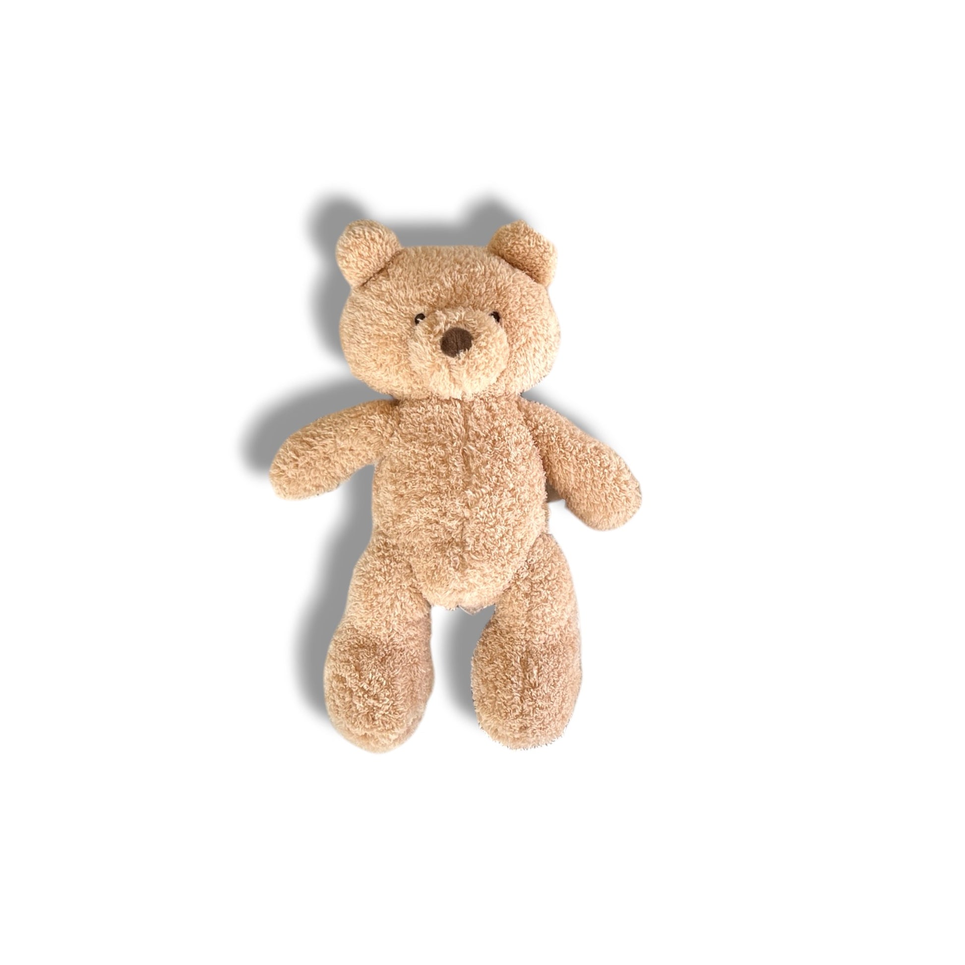Beige teddy bear on a white background