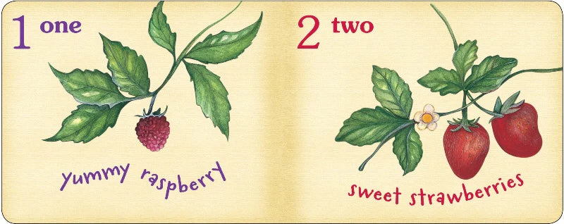 Illustrated book page with raspberries and strawberries labeled 'one yummy raspberry' and 'two sweet strawberries'.
