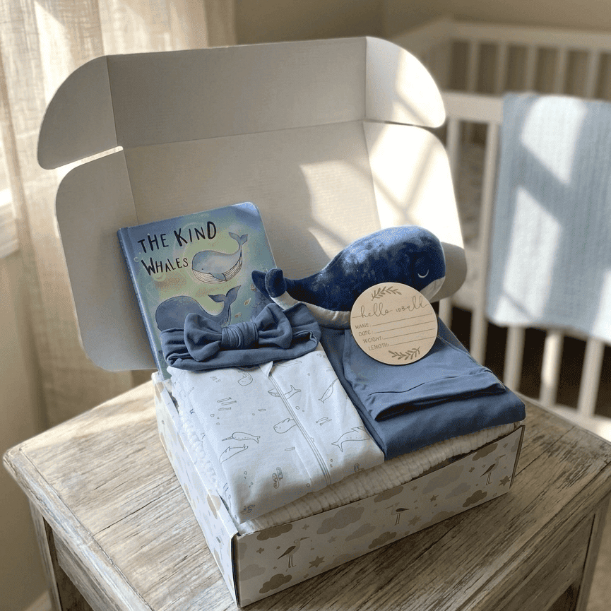 whale-nautical-baby-shower-gift-box-sailing-newborn-set-hey-baby-box-oys - Hey Baby Box
